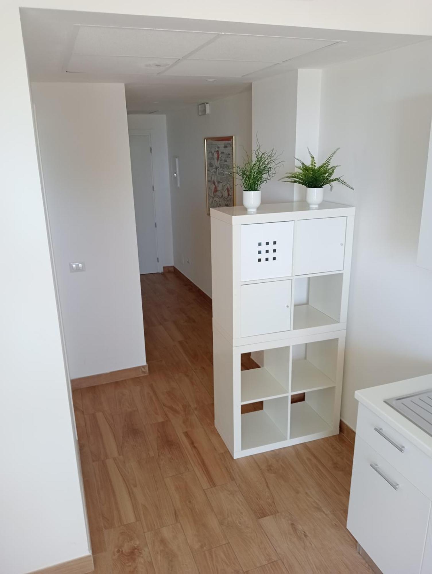 Hotel Flora Alba Adriatica Eksteriør billede